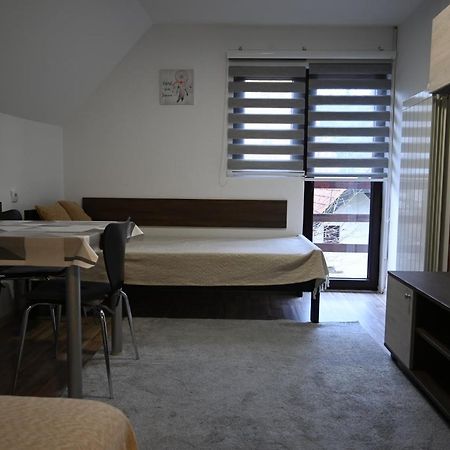 Apartman Vukasin Kopaonik Dış mekan fotoğraf