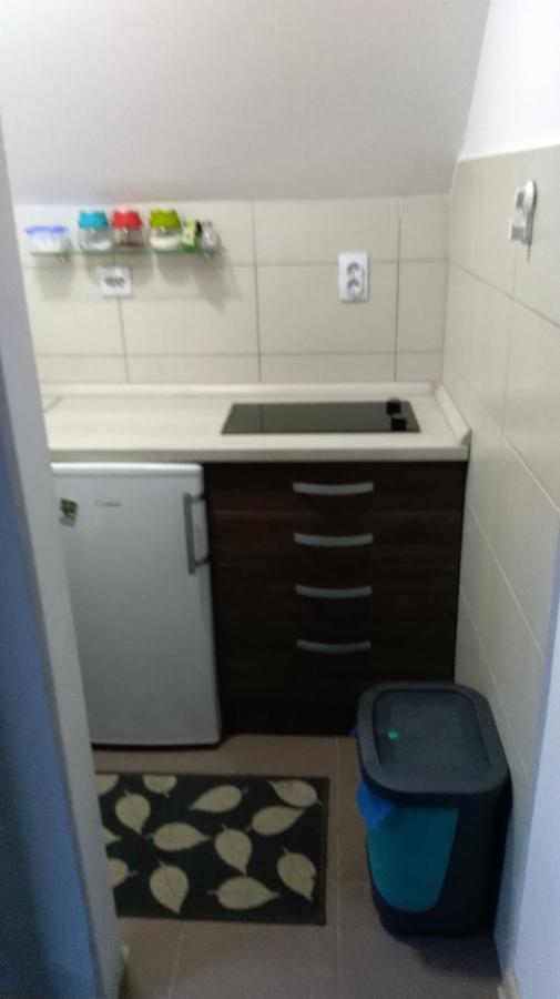 Apartman Vukasin Kopaonik Dış mekan fotoğraf